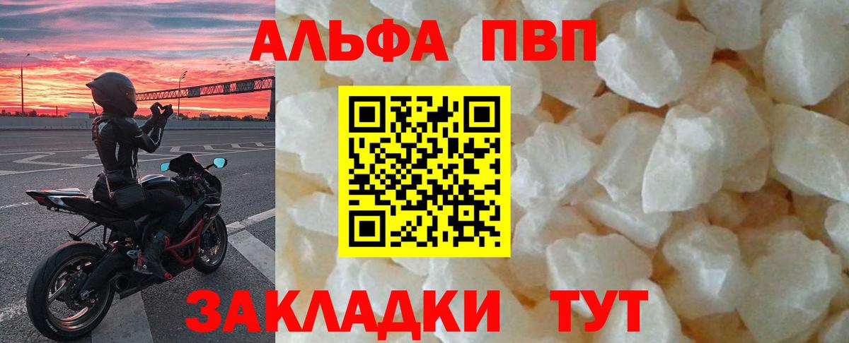A PVP СК КРИС Прокопьевск